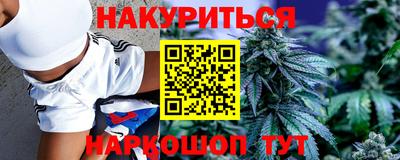 индика Ачхой-Мартан