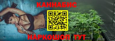 индика Ачхой-Мартан